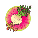 rachelradishart avatar