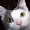 racieb avatar