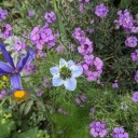 rackledrackle avatar