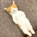 ractalbleeding avatar