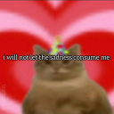 rad-claid-plaid avatar