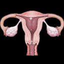 rad-sad-and-not-your-dad avatar