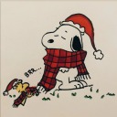 radarbiterlover avatar