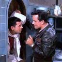 radarsteddybear avatar