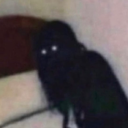 radbrazilianreject avatar