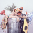 radi0-open-door avatar