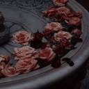 radiantratqueen avatar