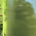 radianttroopercenturion avatar