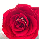 radiate-reality avatar