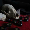 radiator-hands avatar