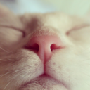 radical-musoka avatar