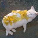 radical365-blog avatar