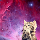 radicalgalaxycat avatar