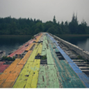 radicalrants101 avatar