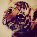 radioactive-is-my-world avatar