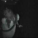 radioactivebf avatar