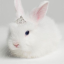 radioactivebinarydecay avatar