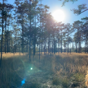 radioactivedestiny-blog avatar