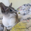 radioactivexdiamonds avatar