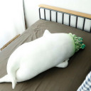 radish-and-sin avatar