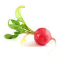 radish-riot avatar