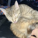 radishconsumer avatar