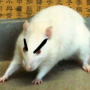 radium-sandwich avatar