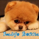 radyo-bonita avatar