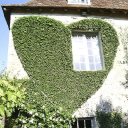 radyocizirtisii avatar