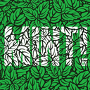 rafa-ramos216 avatar