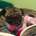 rafaelgarzon12 avatar