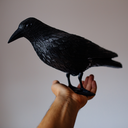 rafalsiderski avatar