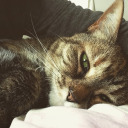 ragazza-magra avatar