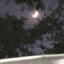 ragdolledbygod avatar