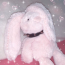 ragdolly-rabbit avatar