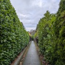 raggedy-bloom avatar