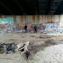 ragingwildflower avatar