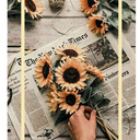 ragingxteapot avatar