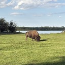 raina-or-shine avatar