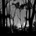 rainbow-chocolate avatar