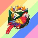 rainbow-collective avatar