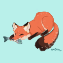 rainbow-foxes avatar