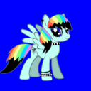 rainbowdash4659 avatar