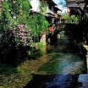 rainbowdashreplies avatar