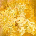 rainbowexplosions avatar