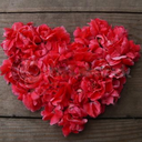 rainbowfallsd avatar