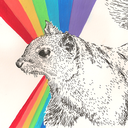 rainbowhippiesquirrel avatar