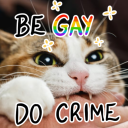 rainbowmoonbean avatar