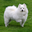 rainbowphysics101 avatar