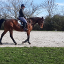 rainbowpoictures avatar